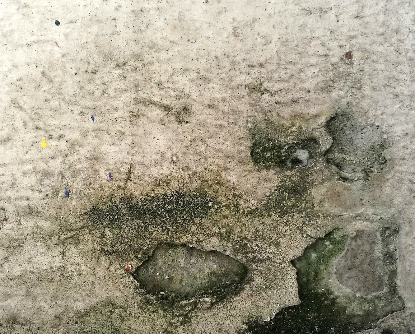 Le cri d'une pathologie murale