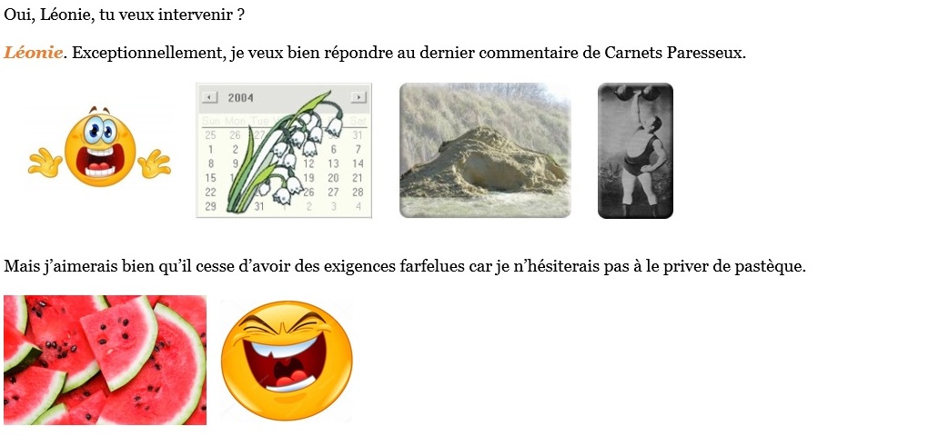 Carnets paresseux (réponse)