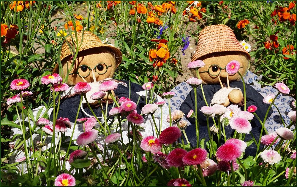 Mad et Léo dans les fleurs
