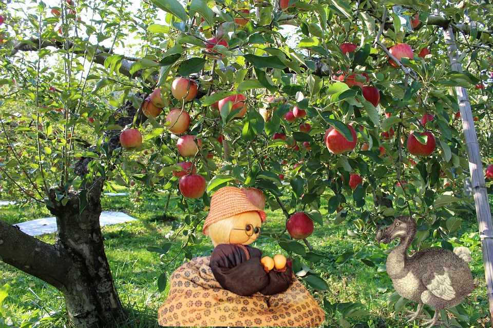 Madeleine Dodo Verger