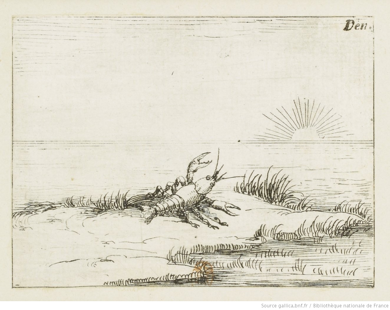 Une écrevisse regardant le soleil - Jacques Callot